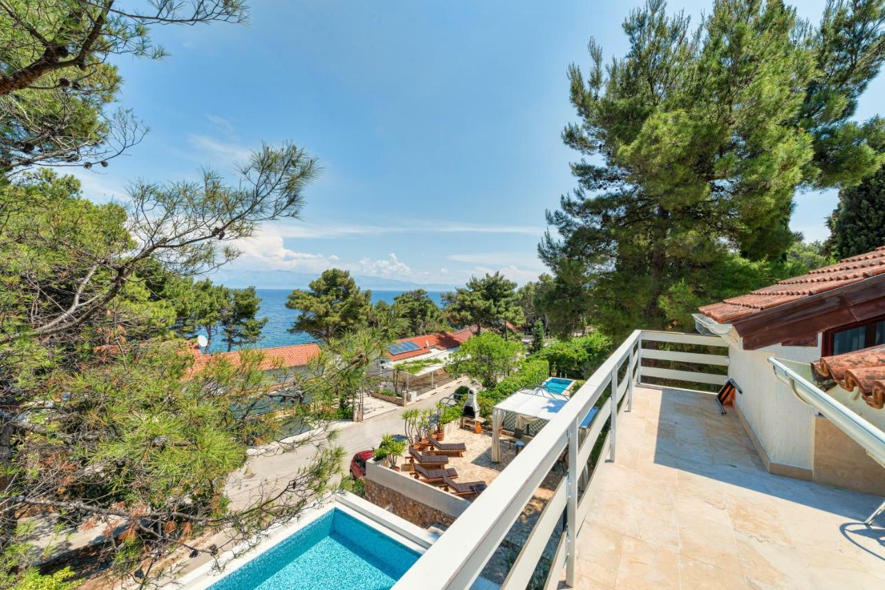Tamar * Jelsa (Hvar)